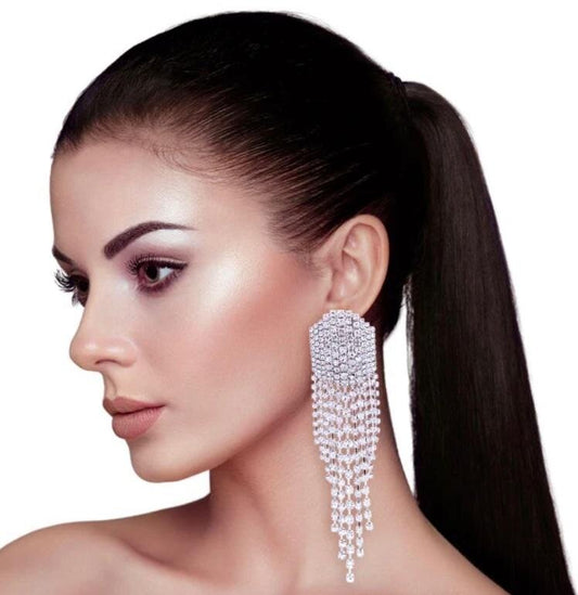 Fringe Silver Earrings